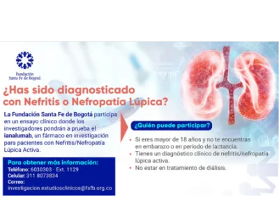 Nefritis Lúpica