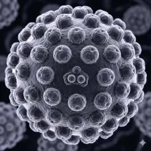 imagen de referencia virus de papiloma humano