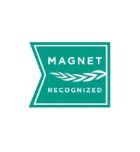 Magnet